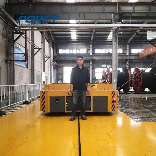 industrial transfer wagon direct manufacturer 120t